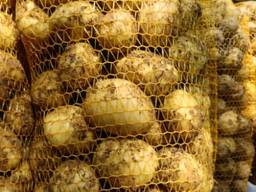 Картофель, морковь оптом