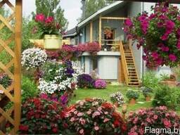 Кашпо и цветы для балкона