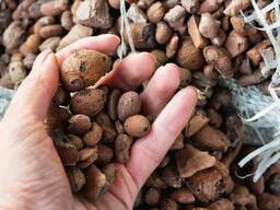 Керамзит фр. 10/20мм м300(50л. )