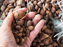 Керамзит в мешках мелкий