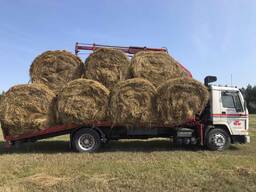 КФХ Дедня продаёт сено. Возможна доставка.