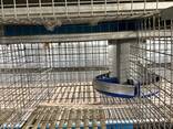Клетки для кроликов промышленные - фото 1
