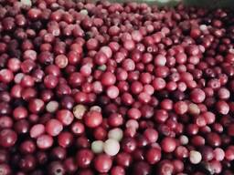 Клюква быстрозамороженная