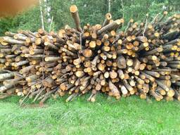 Колотые дрова в сетках из березы и ольхи, осины