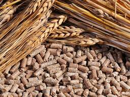 Комбикорм для КРС. Доставка