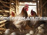 Комбикорм для сельскохозяйственных животных и птиц - фото 1