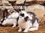 Комбикорм для сельскохозяйственных животных и птиц - фото 3