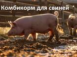 Комбикорм для сельскохозяйственных животных и птиц - фото 2