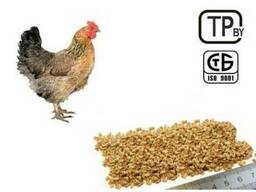 Комбикорм фасованный ПК-1-15 для кур несушек 11-14 месяцев