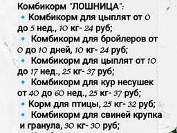 Комбикорм и зерно для с/х животных