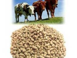 Комбикорм КД-К-61 для высокопродуктивных коров