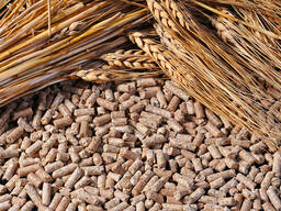 Комбикорм КК-55