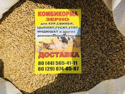 Комбикорм, зерно, витамины от ведущих производителей.