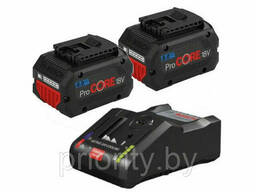 Комплект аккумулятор 18.0 В ProCORE18 V 2 шт. + зарядное устройство GAL 18V-160 C. ..