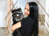 Контактный зоопарк Витебск - фото 1