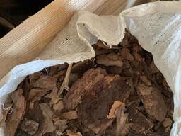 Кора хвойных пород