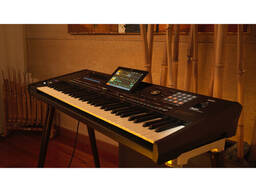 Korg Pa5X Oriental 61-клавишная профессиональная аранжировочная клавиатура