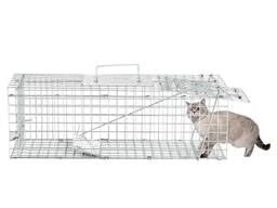 Котоловка клетка-ловушка складная напрокат