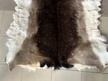 Ковер из шкуры лани - фото 1