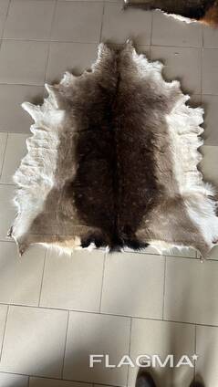 Ковер из шкуры лани