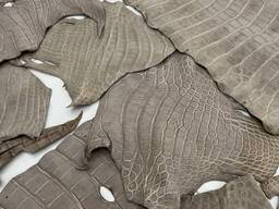 Кожа крокодила