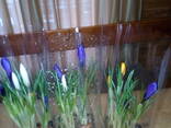 Тюльпаны, крокусы, нарциссы, гиацинты - фото 8