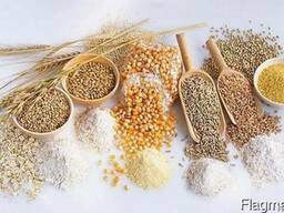 Крупа, хлопья, мука