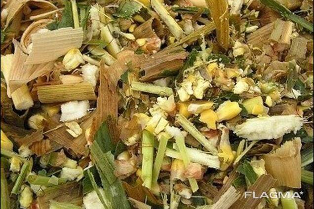 Кукурузный силос с доставкой от 25 тонн