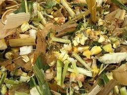 Кукурузный силос с доставкой от 25 тонн