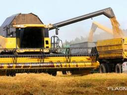 Купим зерно фуражное