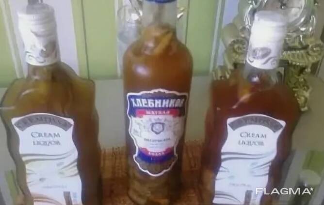 Купить настойку гриба Веселки в Беларуси, почта