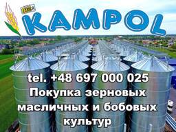 Вика Куплю