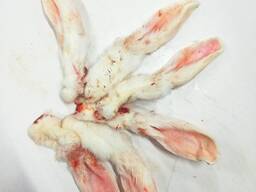 Куплю кроличьи уши оптом / субпродукты