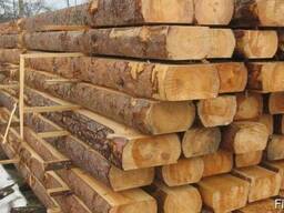 Куплю Лафет усыхающий, сухостой