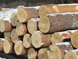 Куплю лес кругляк ель, сосна(сухостой)