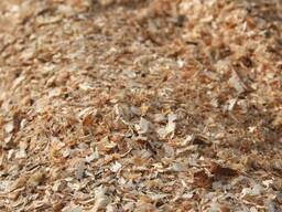 Куплю опилки для мульчирования