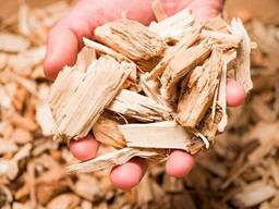 Куплю щепу топливную