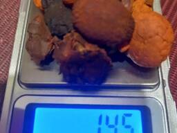 Куплю желчные гавяжий камень коровы быка Крс