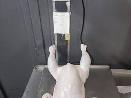 КУРИЦА ОХЛАЖДЕННАЯ 1-2 СОРТ, ЗАМОРОЗКА 2 СОРТ