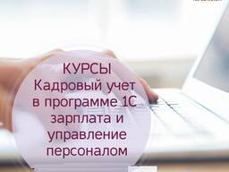 Курсы Кадровый учет в 1С 8.3. Зарплата и Управление персонал