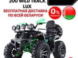Квадроцикл ATV Storm 200 Wild Track Lux+Лебедка - фото 3
