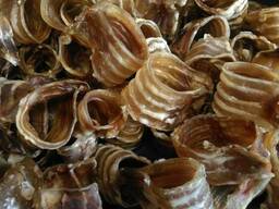 Лакомство для собак. Трахея сушеная говяжья