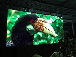 Led экран с шагом пикселя Р3.91для помещения