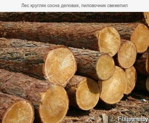 Лес круглый