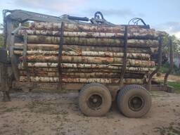 Лес кругляк на дрова