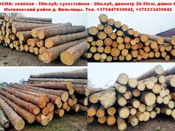 Лес кругляк - сосна, ель.