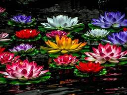 Лилия водяная искусственная оранжевая 19см GW7239