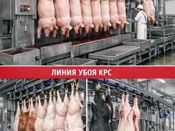 Линии убоя свиней и КРС - Оборудования ЕС
