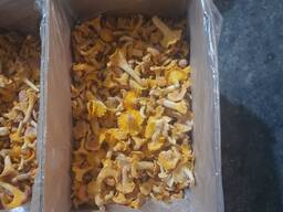 Лисичка замороженая