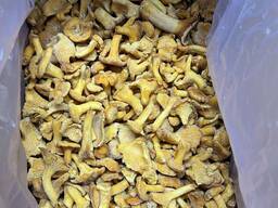 Лисички быстрозамороженные